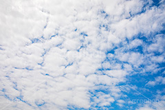 青空と雲,青空,空,晴,雲,お天気,空/天気,空/雲,フルサイズ撮影