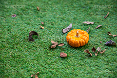 パンプキン,かぼちゃ,カボチャ,南瓜,ハロウィンオーナメント,ジャックオーランタン,ハロウィン,はろうぃん,ハロウィーン,ランタン,オーナメント,飾り,イベント,秋,Halloween,ornament,pumpkin,行事,収穫祭,芝生,枯れ葉,落ち葉,フルサイズ撮影