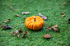 パンプキン,かぼちゃ,カボチャ,南瓜,ハロウィンオーナメント,ジャックオーランタン,ハロウィン,はろうぃん,ハロウィーン,ランタン,オーナメント,飾り,イベント,秋,Halloween,ornament,pumpkin,行事,収穫祭,芝生,枯れ葉,落ち葉,フルサイズ撮影