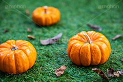 パンプキン,かぼちゃ,カボチャ,南瓜,ハロウィンオーナメント,ジャックオーランタン,ハロウィン,はろうぃん,ハロウィーン,ランタン,オーナメント,飾り,イベント,秋,Halloween,ornament,pumpkin,行事,収穫祭,芝生,枯れ葉,落ち葉,フルサイズ撮影