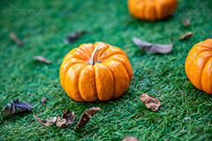 パンプキン,かぼちゃ,カボチャ,南瓜,ハロウィンオーナメント,ジャックオーランタン,ハロウィン,はろうぃん,ハロウィーン,ランタン,オーナメント,飾り,イベント,秋,Halloween,ornament,pumpkin,行事,収穫祭,芝生,枯れ葉,落ち葉,フルサイズ撮影