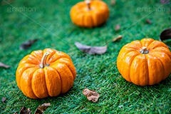 パンプキン,かぼちゃ,カボチャ,南瓜,ハロウィンオーナメント,ジャックオーランタン,ハロウィン,はろうぃん,ハロウィーン,ランタン,オーナメント,飾り,イベント,秋,Halloween,ornament,pumpkin,行事,収穫祭,芝生,枯れ葉,落ち葉,フルサイズ撮影