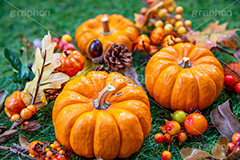 パンプキン,かぼちゃ,カボチャ,南瓜,ハロウィンオーナメント,ジャックオーランタン,ハロウィン,はろうぃん,ハロウィーン,ランタン,オーナメント,飾り,イベント,秋,Halloween,ornament,pumpkin,行事,収穫祭,芝生,枯れ葉,落ち葉,木の実,松ぼっくり,フルサイズ撮影