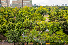 ミッドタウン日比谷からの眺め,ミッドタウン日比谷,千代田区,有楽町,日比谷,東京ミッドタウン日比谷,商業施設,複合施設,映画館,ビル,japan,自然,日比谷公園,フルサイズ撮影