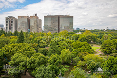 ミッドタウン日比谷からの眺め,ミッドタウン日比谷,千代田区,有楽町,日比谷,東京ミッドタウン日比谷,商業施設,複合施設,映画館,ビル,japan,自然,日比谷公園,フルサイズ撮影