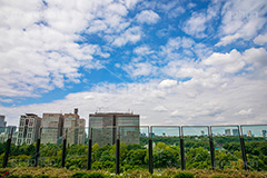 ミッドタウン日比谷からの眺め,ミッドタウン日比谷,千代田区,有楽町,日比谷,東京ミッドタウン日比谷,商業施設,複合施設,映画館,ビル,japan,自然,日比谷公園,オフィス街,フルサイズ撮影