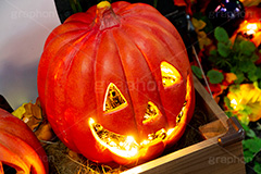 怪しく光るジャックオーランタン,光るジャックオーランタン,ジャックオーランタン,ハロウィン,はろうぃん,ハロウィーン,Halloween,かぼちゃ,カボチャ,南瓜,ランタン,イベント,秋,パンプキン,pumpkin,ornament,行事,オーナメント,装飾,怪しい,光る