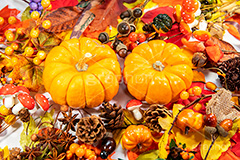ハロウィンオーナメント,ハロウィン,はろうぃん,ハロウィーン,カボチャ,南瓜,パンプキン,オーナメント,飾り,松ぼっくり,実,木の実,どんぐり,ドングリ,キノコ,きのこ,落ち葉,紅葉,イベント,秋,オータム,Halloween,pumpkin,ornament,autumn,行事,フルサイズ撮影