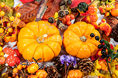 ハロウィンオーナメント,ハロウィン,はろうぃん,ハロウィーン,カボチャ,南瓜,パンプキン,オーナメント,飾り,松ぼっくり,実,木の実,どんぐり,ドングリ,キノコ,きのこ,落ち葉,紅葉,イベント,秋,オータム,Halloween,pumpkin,ornament,autumn,行事,フルサイズ撮影