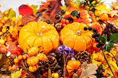 ハロウィンオーナメント,ハロウィン,はろうぃん,ハロウィーン,カボチャ,南瓜,パンプキン,オーナメント,飾り,松ぼっくり,実,木の実,どんぐり,ドングリ,キノコ,きのこ,落ち葉,紅葉,イベント,秋,オータム,Halloween,pumpkin,ornament,autumn,行事,フルサイズ撮影