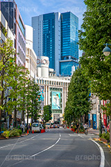渋谷公園通り,渋谷,通り,渋谷区,ヒカリエ,マルイ,ショッピング,ビル,坂道,並木,道路,building