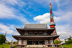 増上寺,寺,境内,行事,参拝,お参り,寺,芝公園,港区,東京タワー,タワー,塔,青空,japan,temple,フルサイズ撮影