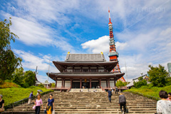 増上寺,寺,境内,行事,参拝,お参り,寺,芝公園,港区,東京タワー,タワー,塔,青空,階段,japan,temple,フルサイズ撮影