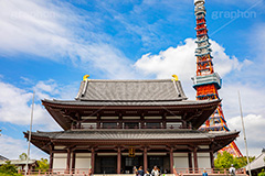 増上寺,寺,境内,行事,参拝,お参り,寺,芝公園,港区,東京タワー,タワー,塔,青空,japan,temple,フルサイズ撮影