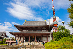 増上寺,寺,境内,行事,参拝,お参り,寺,芝公園,港区,東京タワー,タワー,塔,青空,japan,temple,フルサイズ撮影