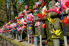 千躰子育地蔵尊,増上寺,芝公園,浄土宗,地蔵,お地蔵さん,子育て,安産,子供,こども,祈願,頭巾,赤い頭巾,風車,並ぶ,多い,大量,寺院,寺,参拝,重要文化財,文化財,港区,japan,temple,フルサイズ撮影