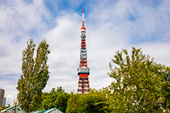 芝公園,港区,公園,散歩,自然,都立,park,東京タワー,フルサイズ撮影