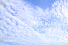 巻積雲,さば雲,サバ雲,巻積雲,空,青空,くも,そら,秋の空,いわし雲,とうろこ雲,波状雲,空/天気,空/雲