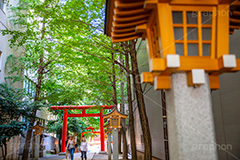 花園神社,神社,参拝,お参り,新宿,新宿区,郷社,倉稲魂命,日本武尊,受持神,徳川家康,文化財,芸能,都心,都会,鳥居,shrine,japan,灯籠,フルサイズ撮影