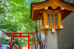 花園神社,神社,参拝,お参り,新宿,新宿区,郷社,倉稲魂命,日本武尊,受持神,徳川家康,文化財,芸能,都心,都会,鳥居,shrine,japan,灯籠,フルサイズ撮影