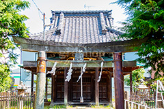 八坂大神,神社,参拝,神奈川,鎌倉,荒,草木,鳥居,灯篭