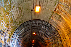 佐助隧道,トンネル,暗い,怖い,怪しい,古い,心霊,ホラー,神奈川,鎌倉,噂,草木,廃,小さなトンネル,荒