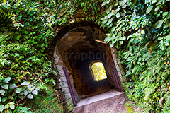 小さなトンネル,トンネル,暗い,怖い,怪しい,古い,心霊,ホラー,神奈川,鎌倉,噂,草木,廃,荒