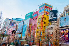 秋葉原の電気街,秋葉原,あきば,秋葉,アキバ,akiba,駅前,電気街,秋葉原駅,ゲーム,アニメ,おたく,オタク,japan,culture,文化,カルチャー