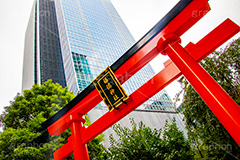 福徳神社の鳥居,福徳神社,鳥居,神社,参拝,お参り,稲荷,芽吹神社,お稲荷さん,日本橋,中央区,tokyo,東京,japan