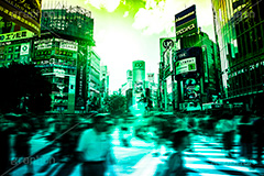 渋谷,Gradation Jjapan,gradation,japan,日本,グラデーション,カラフル,お洒落,おしゃれ,オシャレ,味わい,雰囲気,フルサイズ撮影,東京,tokyo,デュオトーン,duotone