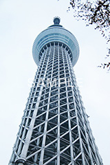 スカイツリー,東京スカイツリー,TOKYO SKYTREE,墨田区,押上,電波塔,634,634メートル,640m,塔,真下,見上げ,tower,japan,タワー