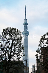 スカイツリー,東京スカイツリー,TOKYO SKYTREE,墨田区,押上,電波塔,634,634メートル,634m,塔,tower,japan,タワー