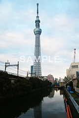 スカイツリー,東京スカイツリー,TOKYO SKYTREE,墨田区,押上,電波塔,634,634メートル,634m,塔,tower,japan,タワー