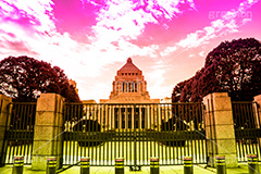 国会議事堂,Gradation Jjapan,gradation,japan,日本,グラデーション,カラフル,お洒落,おしゃれ,オシャレ,味わい,雰囲気,東京,tokyo,デュオトーン,duotone