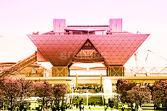 ビックサイト,Gradation Jjapan,gradation,japan,日本,グラデーション,カラフル,お洒落,おしゃれ,オシャレ,味わい,雰囲気,東京,tokyo,デュオトーン,duotone
