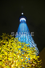 スカイツリー,東京スカイツリー,TOKYO SKYTREE,墨田区,押上,電波塔,634,634メートル,634m,塔,夜,ライトアップ,粋,ブルー,青,不思議,おもしろ写真,面白写真,2本,２本,映イルミネーション,イルミ,真下,見上げ,tower,japan,タワー