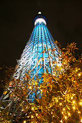 スカイツリー,東京スカイツリー,TOKYO SKYTREE,墨田区,押上,電波塔,634,634メートル,634m,塔,夜,ライトアップ,粋,ブルー,青,不思議,おもしろ写真,面白写真,2本,２本,映イルミネーション,イルミ,真下,見上げ,tower,japan,タワー