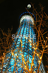 スカイツリー,東京スカイツリー,TOKYO SKYTREE,墨田区,押上,電波塔,634,634メートル,634m,塔,夜,ライトアップ,粋,ブルー,青,不思議,おもしろ写真,面白写真,2本,２本,映イルミネーション,イルミ,真下,見上げ,tower,japan,タワー