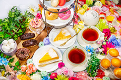 アフタヌーンティー,チーズケーキ,エクレア,ドーナツ,チョコ,チョコレート,パーティー,庭,ガーデン,garden,party,spring,tea,cake,cup,pot,macron,マシュマロ,カップ,ポット,ケーキ,マフィン,甘味,甘い,紅茶,ティー,お茶会,おやつ,お菓子,菓子,スイーツ,春,花,花びら,ガーリー,女子力,可愛い,かわいい,マカロン,フォーク,フルサイズ撮影