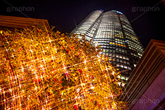六本木ヒルズイルミネーション,六本木,ヒルズ,Roppongi Hills,夜景,ライトアップ,キラキラ,夜,イルミネーション,イルミ,LED,illumination,冬,ロマンチック,クロスフィルタ,港区,観光名所,森タワー,高層ビル,フルサイズ撮影