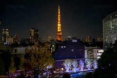 東京タワー,タワー,総合電波塔,電波,塔,日本電波塔,333m,とうきょうタワー,Tokyo Tower,港区,東京のシンボル,観光名所,ヒルズ,六本木,japan,六本木ヒルズ,夜景,フルサイズ撮影