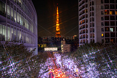 けやき坂イルミネーション,けやきざか,けやき坂,イルミネーション,イルミ,六本木,ヒルズ,Roppongi Hills,夜景,ライトアップ,キラキラ,夜,LED,冬,ロマンチック,japan,クロスフィルタ,東京タワー,タワー,港区,観光名所,坂,並木,朝日テレビ,テレビ局,フルサイズ撮影