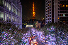 けやき坂イルミネーション,けやきざか,けやき坂,イルミネーション,イルミ,六本木,ヒルズ,Roppongi Hills,夜景,ライトアップ,キラキラ,夜,LED,冬,ロマンチック,japan,クロスフィルタ,東京タワー,タワー,港区,観光名所,坂,並木,朝日テレビ,テレビ局,フルサイズ撮影