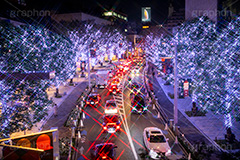 けやき坂イルミネーション,けやきざか,けやき坂,イルミネーション,イルミ,六本木,ヒルズ,Roppongi Hills,夜景,ライトアップ,キラキラ,夜,LED,冬,ロマンチック,japan,クロスフィルタ,港区,観光名所,坂,並木,繫華街,夜の街,夜の町,フルサイズ撮影