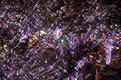 けやき坂イルミネーション,けやきざか,けやき坂,イルミネーション,イルミ,六本木,ヒルズ,Roppongi Hills,夜景,ライトアップ,キラキラ,夜,LED,冬,ロマンチック,japan,クロスフィルタ,港区,観光名所,坂,並木,フルサイズ撮影