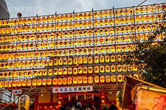 酉の市,花園神社,新宿,神社,お祭り,熊手,屋台,出店,露店,開運,商売繁盛,招福,千客万来,縁起物,ヤマトタケル,見世物小屋,新宿区,japan,ちょうちん,提灯,フルサイズ撮影