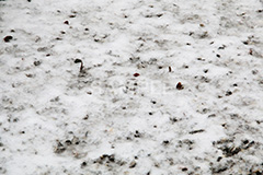 凍結,地面,雪,凍る,冬,winter,snow