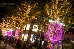 自由が丘イルミネーション,イルミネーション,イルミ,illumination,クリスマスツリー,tree,電飾,電球,発光ダイオード,LED,冬,キラキラ,綺麗,きれい,キレイ,煌,輝,デート,スポット,都内,クリスマス,自由が丘,CHRISTMAS,Xmas,飾り,デコレーション,イベント,目黒区,クロスフィルタ,行事,九品仏,ピンク,ゴールド,ワイングラス,gold,pink,JIYUGAOKA Mistral Lights,フルサイズ撮影