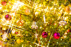 光り輝くクリスマスツリー,クリスマスツリー,イルミネーション,イルミ,電飾,電球,発光ダイオード,冬,キラキラ,綺麗,きれい,キレイ,煌,輝,デート,クリスマス,飾り,デコレーション,イベント,モミの木,もみの木,オーナメント,ボール,ベル,illumination,tree,LED,CHRISTMAS,Xmas,ornament,bell,フルサイズ撮影