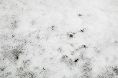 凍結,地面,雪,凍る,冬,winter,snow